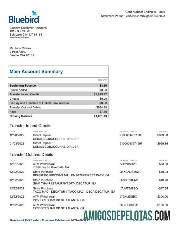 Extrato bancário realista do USA Bluebird, modelo Word e PDF, 3 páginas